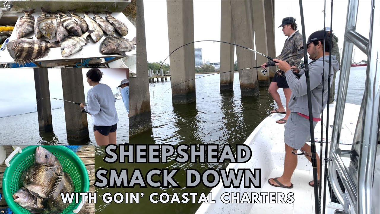 SHEEPSHEAD SMACK DOWN in Biloxi, MS with Goin' Coastal Charters