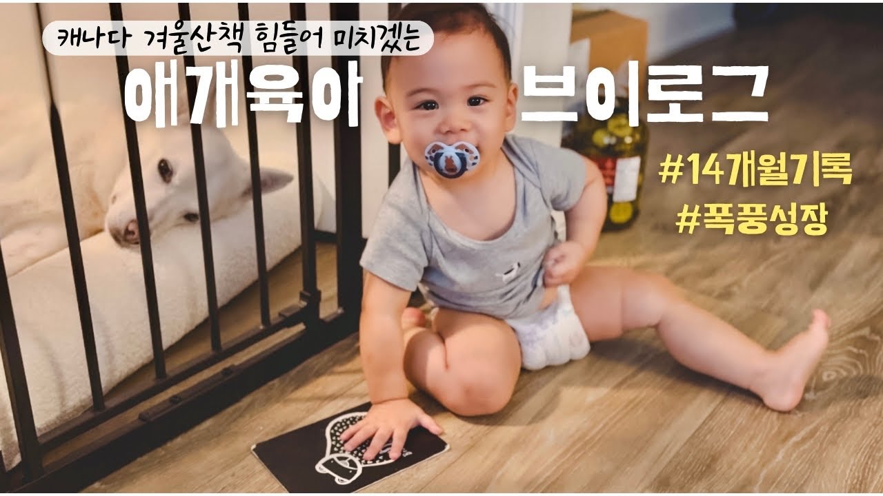 14개월 발달 브이로그 👶🏻🐻‍❄️ 고된 토론토 겨울의 애개육아