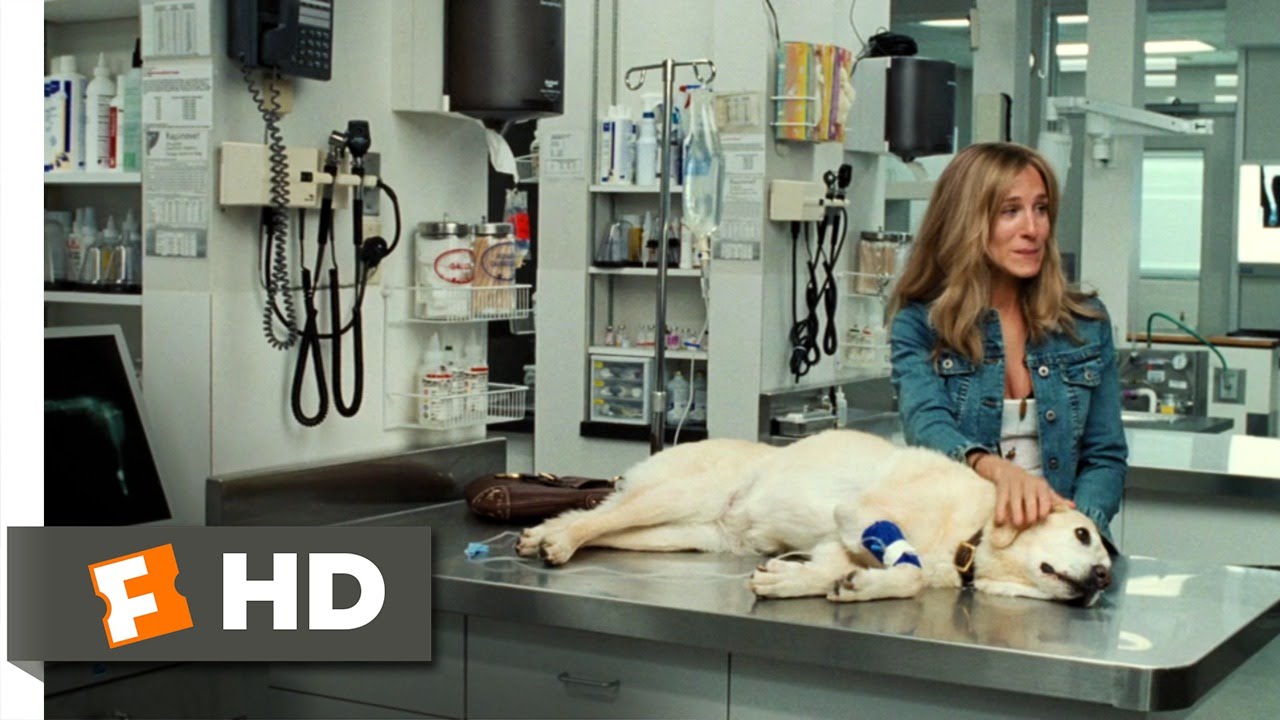 Failure to Launch (3/10) Movie CLIP - Emotional Crisis Stage (2006) HD