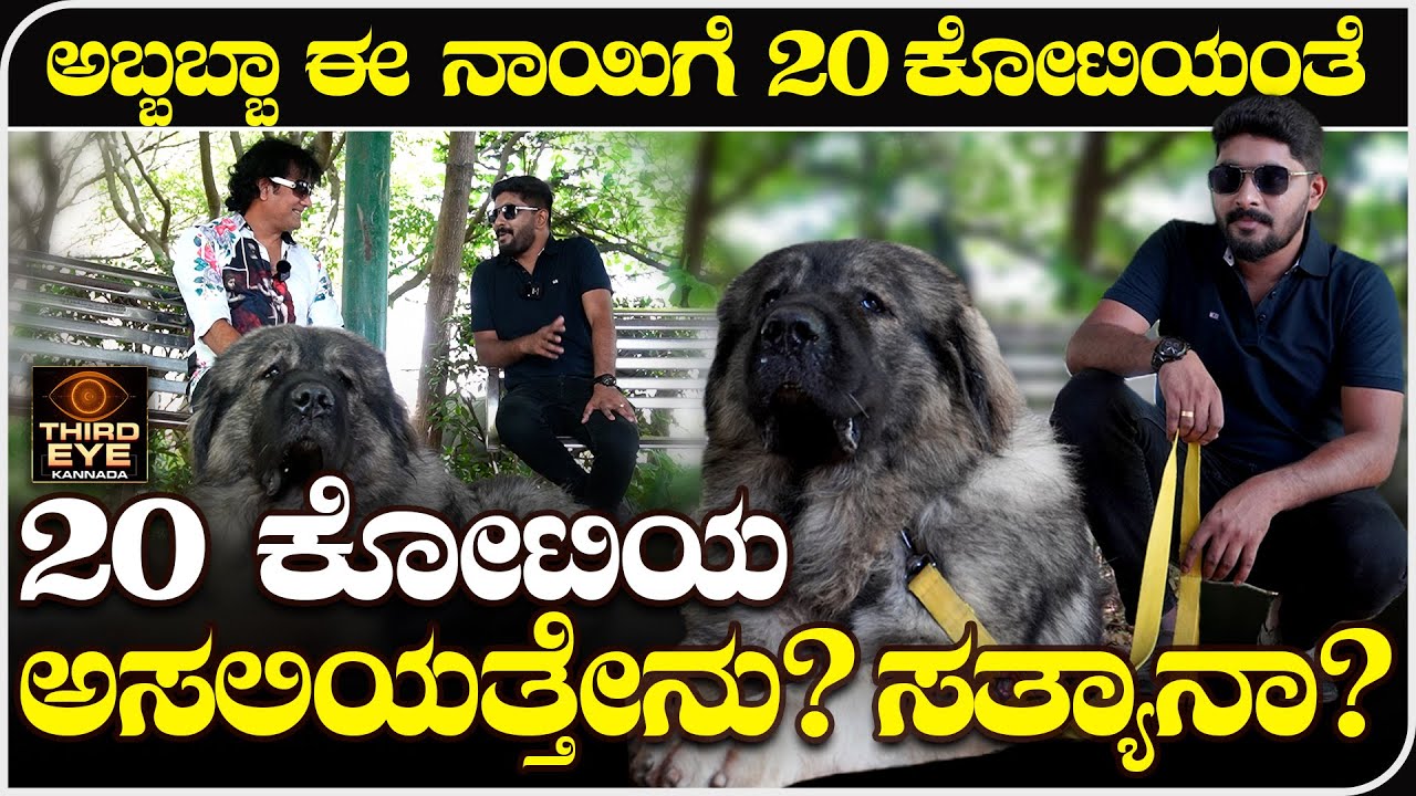 ಅಬ್ಬಬ್ಬಾ ಈ ನಾಯಿಗೆ 20 ಕೋಟಿಯಂತೆ- 20 ಕೋಟಿಯ ಅಸಲಿಯತ್ತೇನು? ಸತ್ಯಾನಾ? ಸುಳ್ಳಾ?  20 crore dog in bangalore
