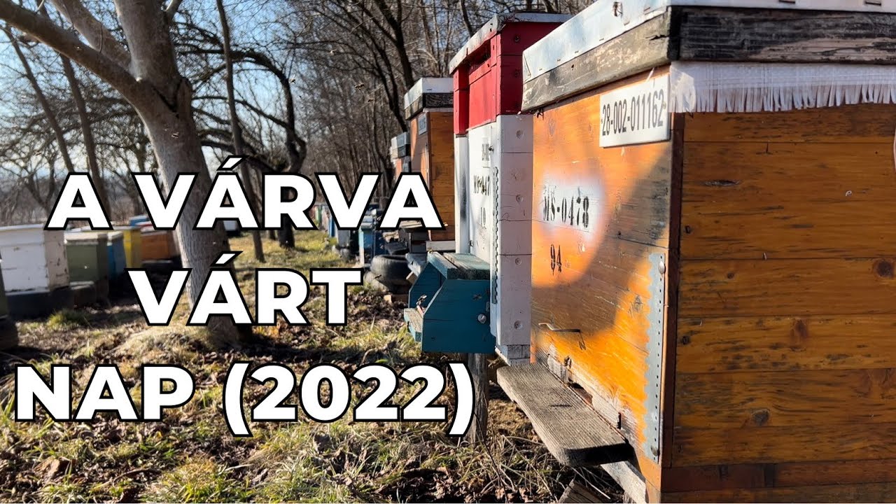 A várva-várt nap | Méhészet 2022