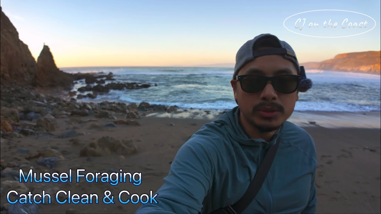 Foraging Wild Mussels | Catch Clean Cook on the Northern California Coast #bayarea #mussels #forage
