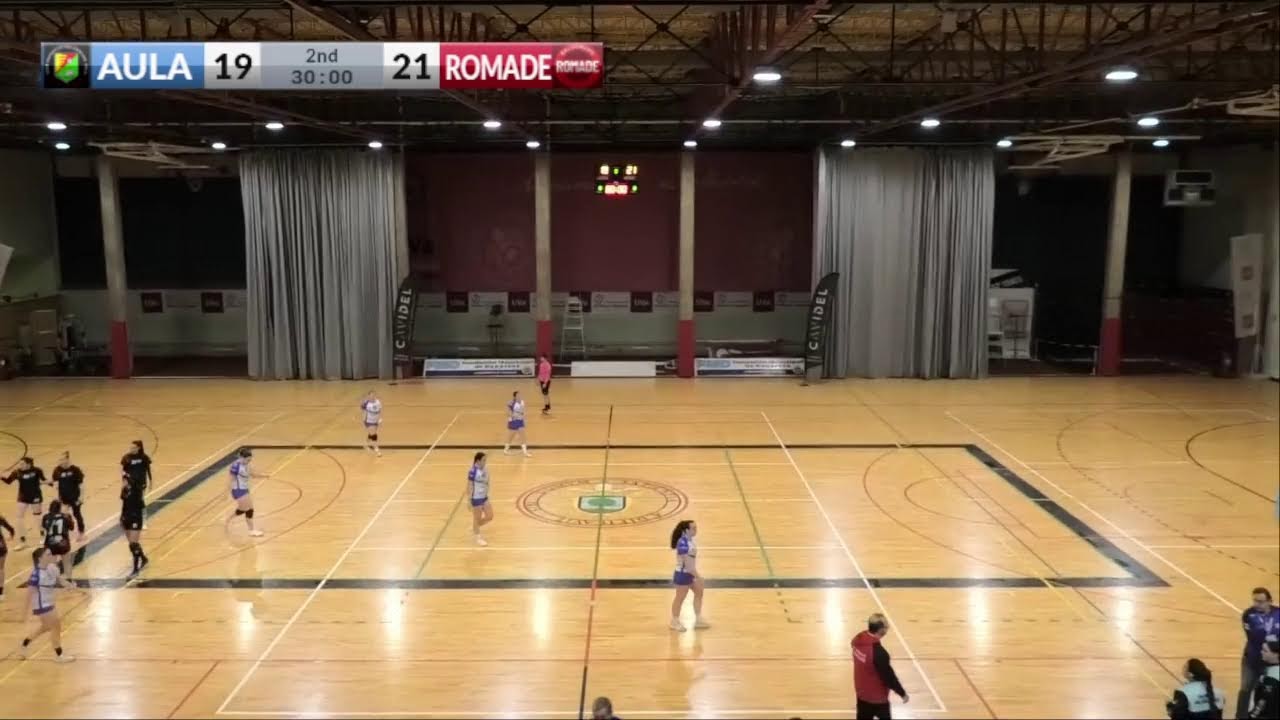 DIVISI&Oacute;N DE HONOR PLATA | AULA VALLADOLID - BALONMANO ROMADE
