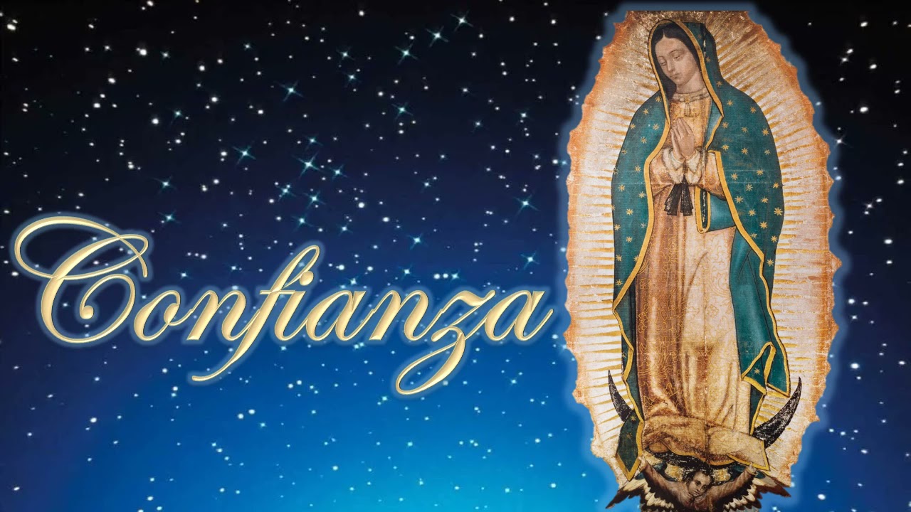 46 Rosarios a la Virgen de Guadalupe. D&iacute;a 28 Estrella 28 Manto de Estrellas de Virtudes de Mar&iacute;a