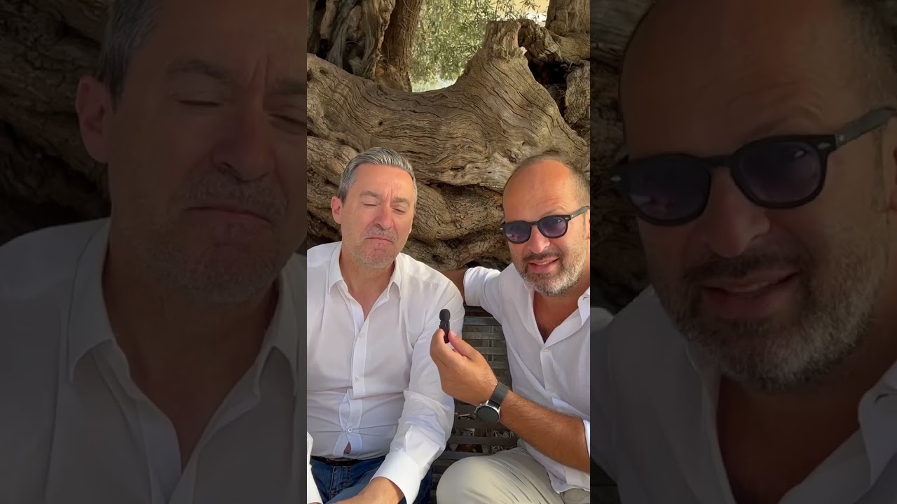 Gli olivi di Santa Maria di Licodia - #IoComproSiciliano