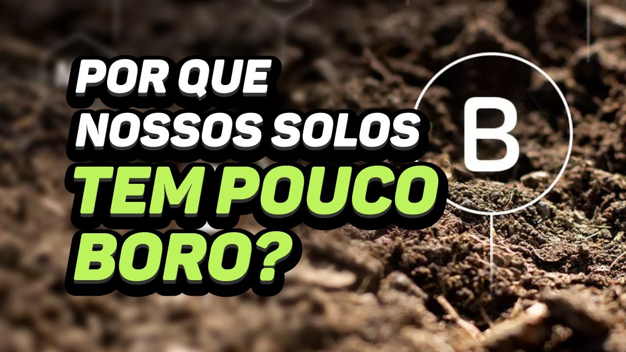 POR QUE NOSSOS SOLOS TEM POUCO BORO?