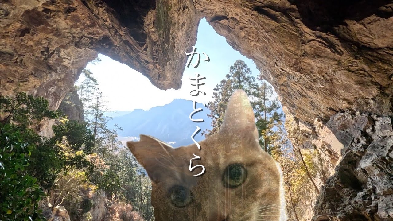 【洞穴に潜む猫】〝かまど倉山〟556.6M 栃木県鹿沼市