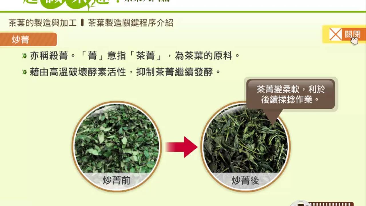 4 2茶葉製造關鍵程序介紹
