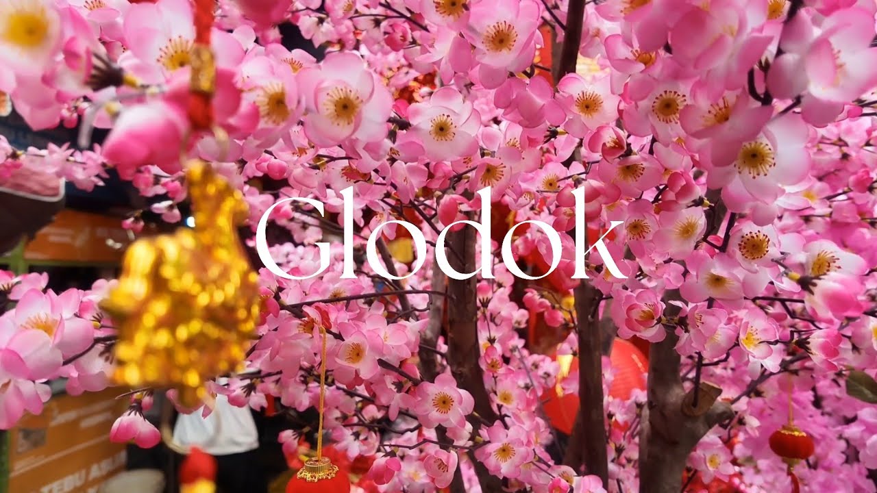 Suasana Glodok jelang Imlek 2026 | Chinese New Year Vibes | 4K