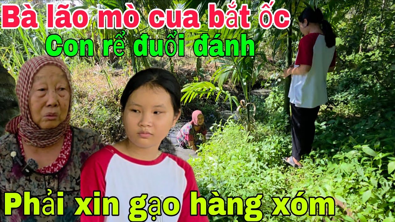 Con rể 