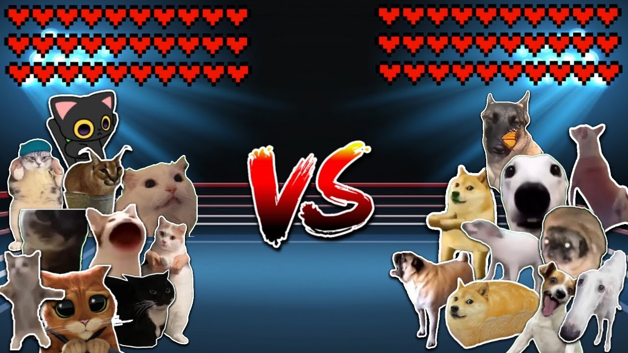 10 Cats vs 10 Dogs! Meme battle