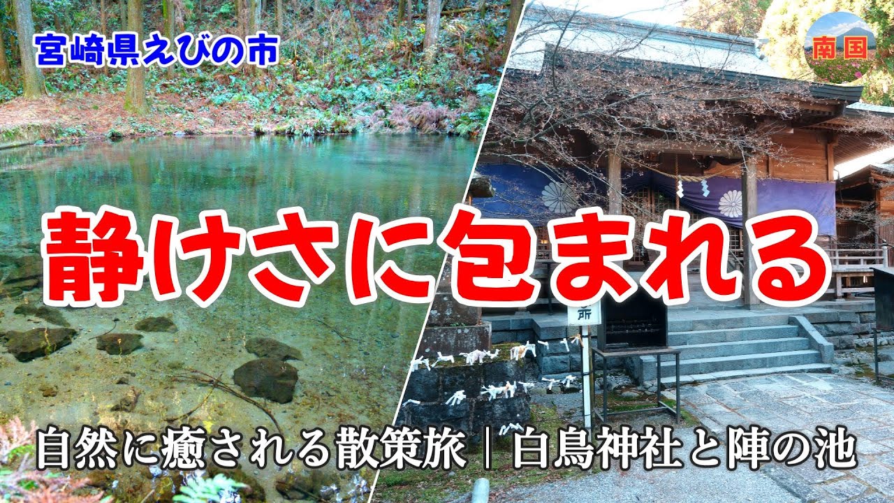 陣の池の変わり果てた風景に驚愕　白鳥神社　陣の池【α7Ⅴ】宮崎の風景　宮崎県えびの市　観光
