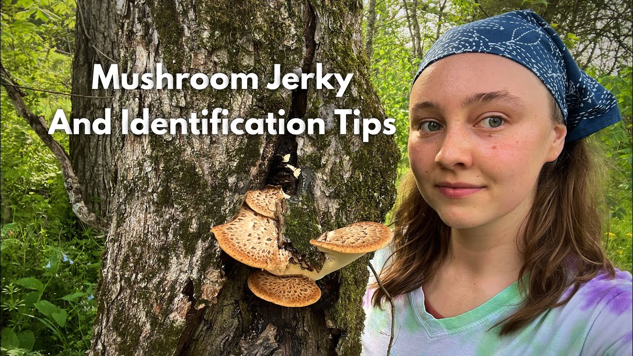How to Identify and make Jerky with the Pheasant Back mushroom!