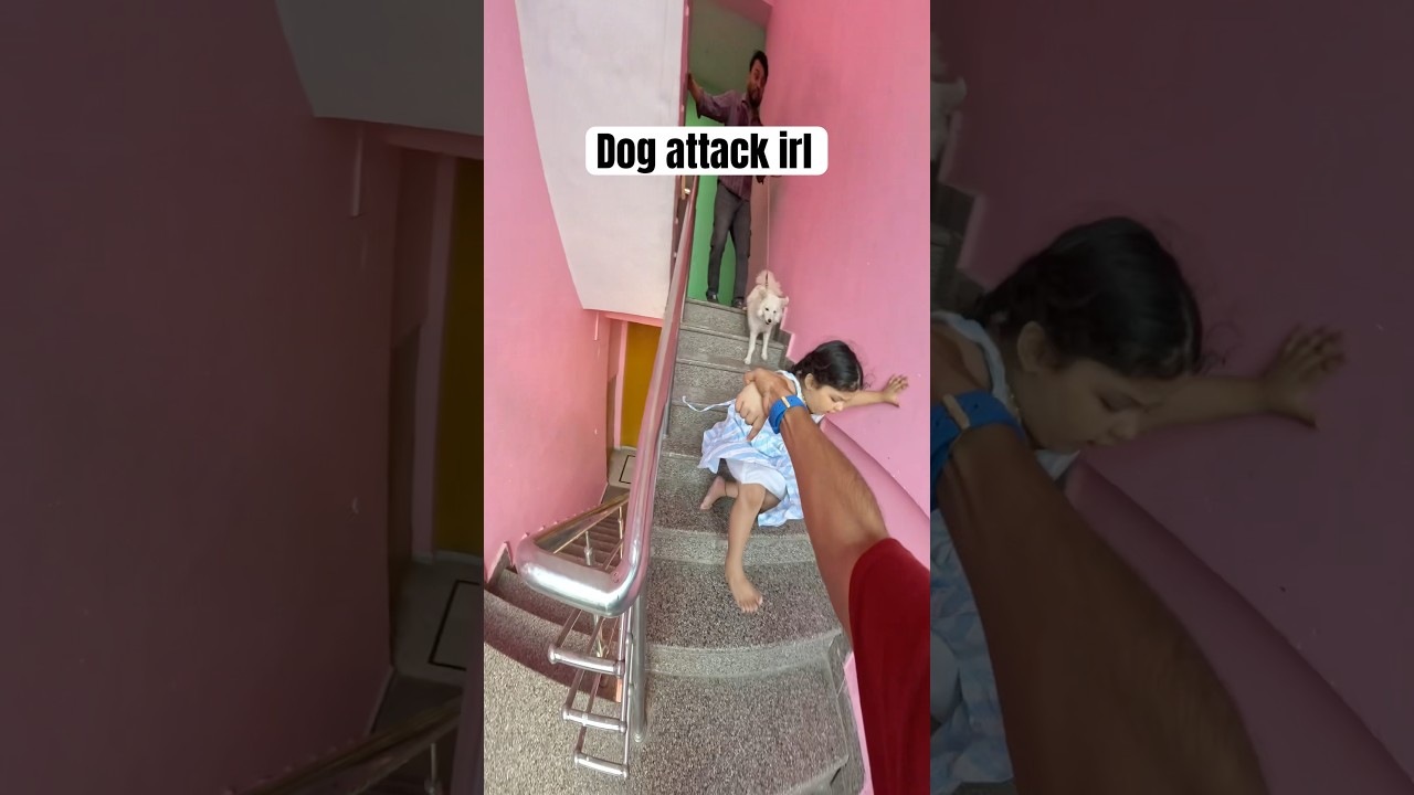 Dog attack in real parkour pov #parkour #parkourchase #attack #dogattack #youtubeshorts