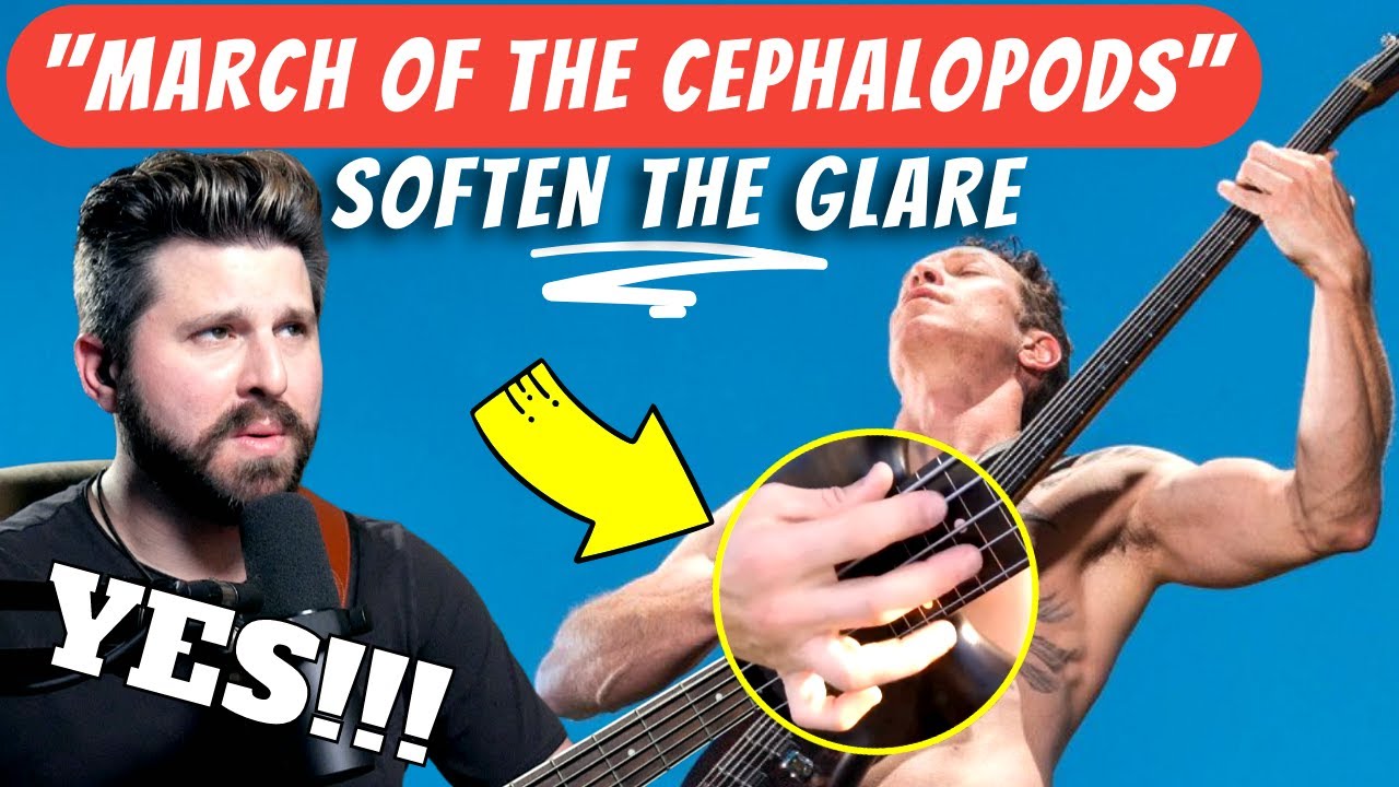 Bass Teacher REACTS | Ryan Martinie RIPPING Some Jazz? SOFTEN THE GLARE 