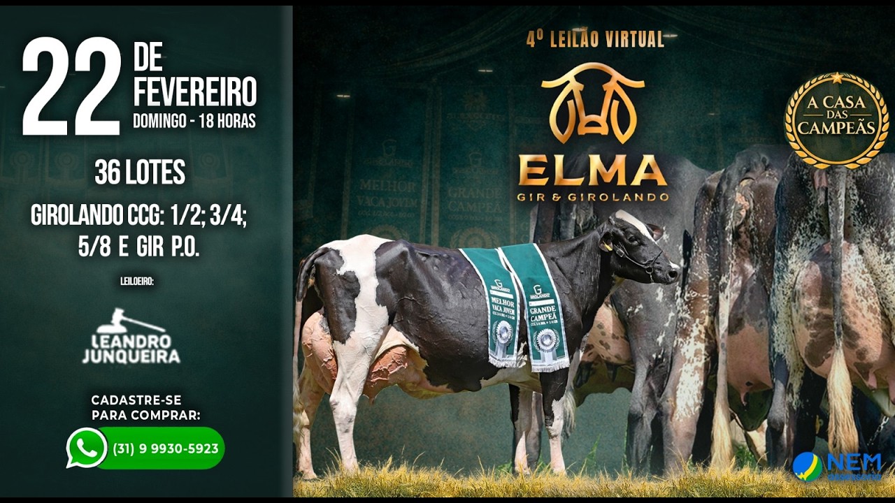 ✅ 4º LEILÃO VIRTUAL GIR & GIROLANDO ELMA - 22/02/2026 ⏰ 18:00h