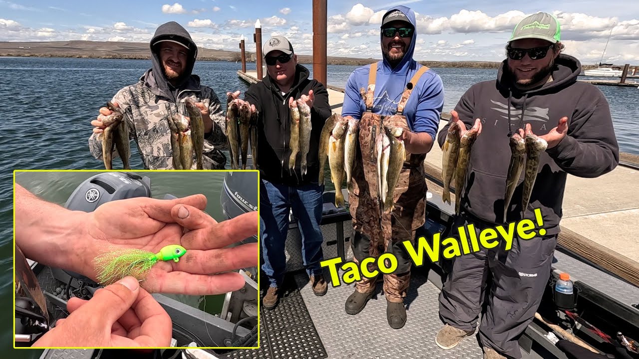 Jigging Columbia River Taco Walleye