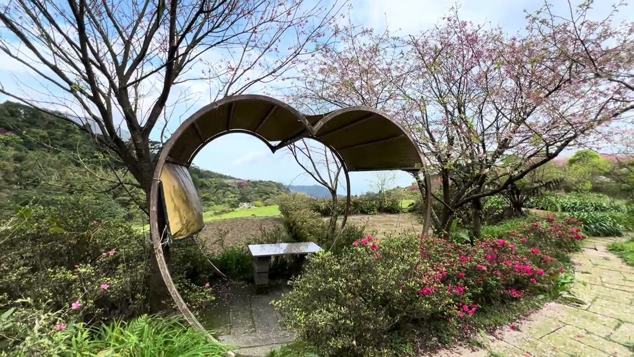 2026年3月6日