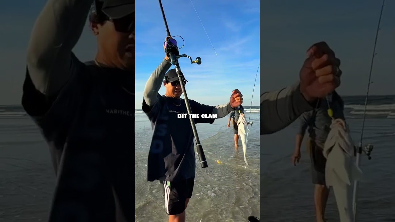 Секретная приманка для серфовой рыбалки, по которой все скучают 👀🐚