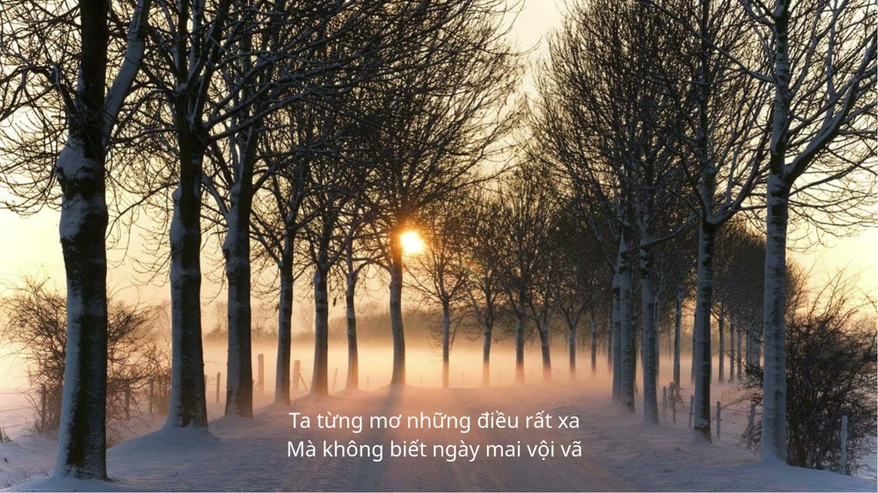BÀI HÁT: HÀNG CÂY VÀ NẮNG - TÁC GIẢ: NGỌC THỊNH - CHONIN - CA SĨ: AI