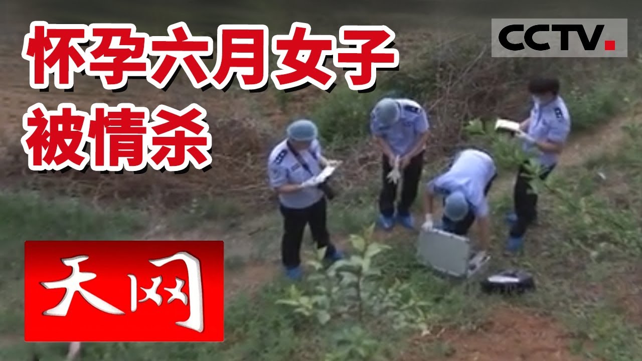 《天网》怀有身孕的女子惨死郊外 一尸两命 有妇之夫只为玩弄感情 残忍杀害情人 20131120 | CCTV社会与法