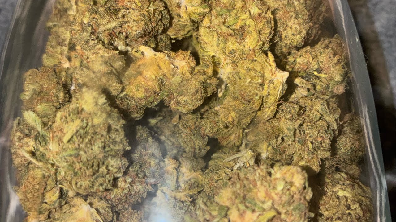 Dopethca- Wazabi 100$ budget thca qp Is it worth it?