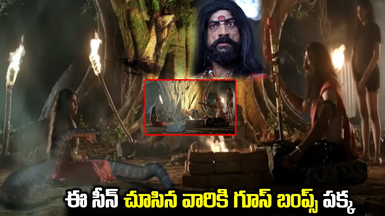 ఈ సీన్ చూసిన వారికి గూస్ బంప్స్ పక్క Telugu Latest Horror Movie Scenes | Telugu Ultimate Movie Scene