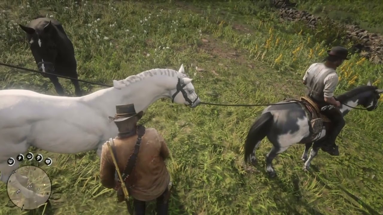 Free Good Horse Hack (Red Dead Redemption 2)