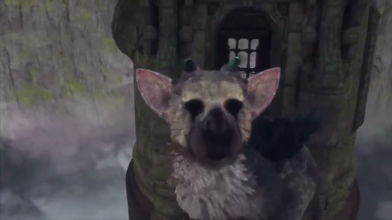 人喰い大鷲トリコ　5