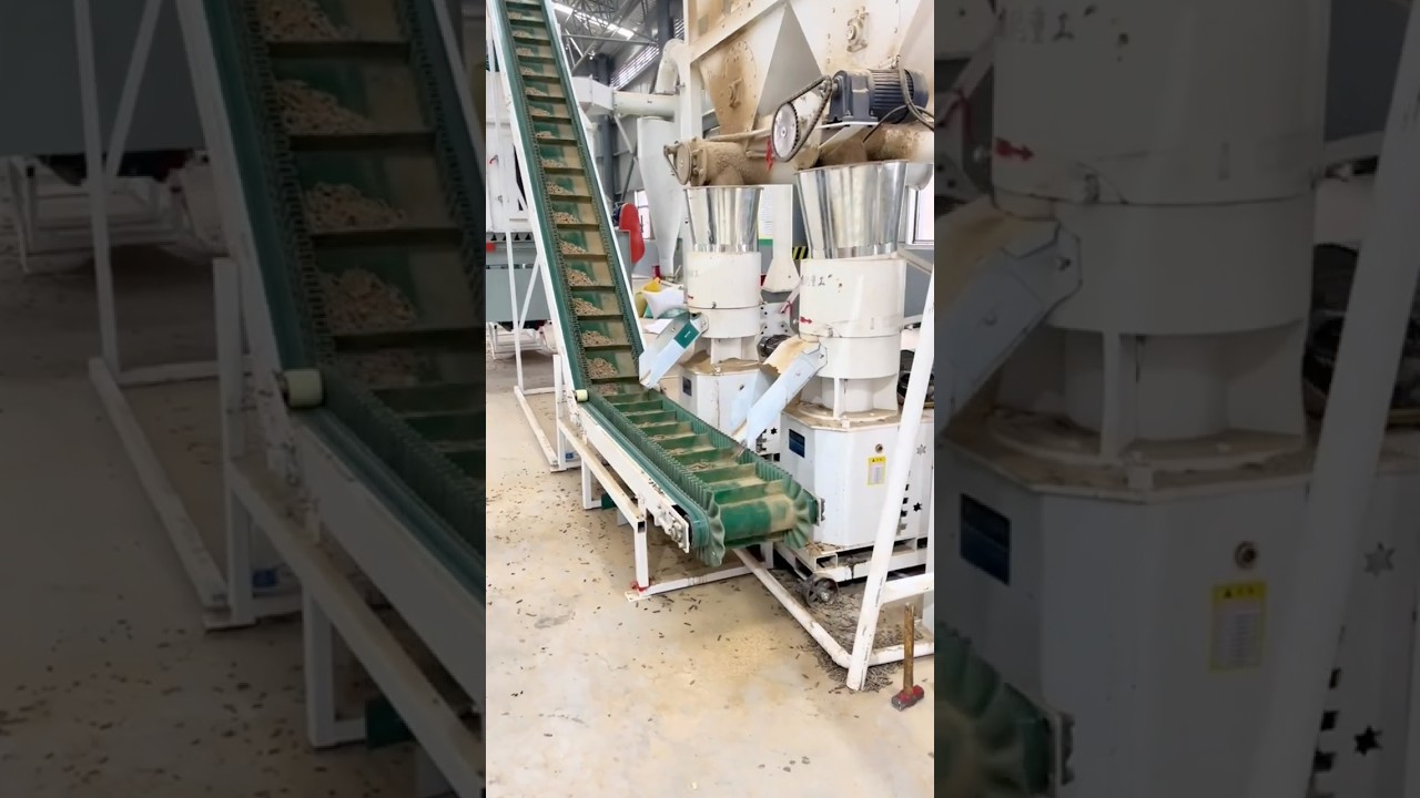 1–1.5 T/H Feed Pellet Production Line | High-Efficiency Feed Processing Solution 