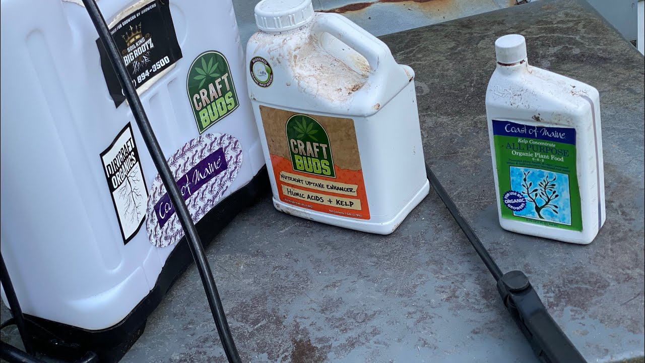HOT HEMP! How to keep your plants cool in the summer heat!