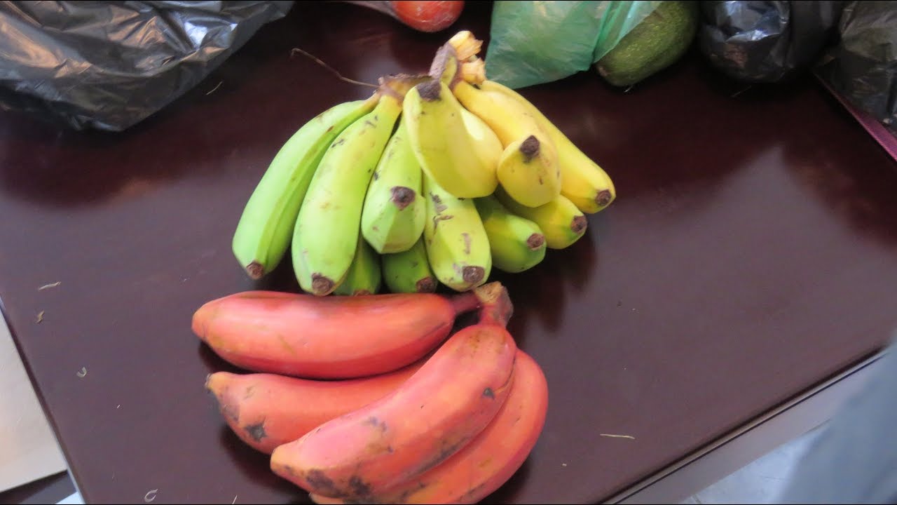 Cuenca Ecuador: Market Prices