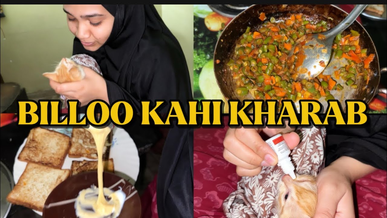 Bllloo kahi kharrad🥺🥺🥺