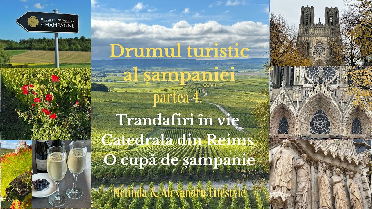 Drumul turistic al sampaniei. partea 4. Trandafiri in vie. Catedrala din Reims. O cupa de sampanie