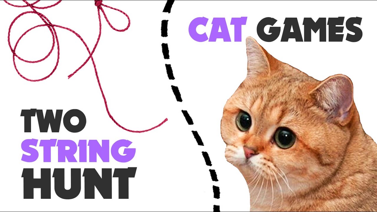 Hunt TWO STRING STRING thing for cats ★ CAT GAMES 1 hour