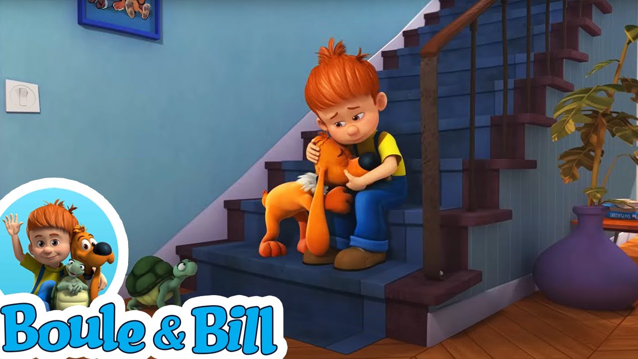 🫶 Boule et Bill sont inséparables 🫶 - Nouvelle compilation Boule et Bill épisodes complets