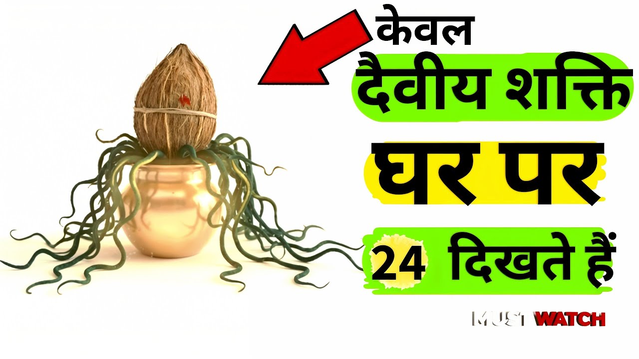 यदि आपके घर में दैवीय शक्ति मौजूद है तो ये 24 संकेत प्रकट होंगे। #sanatandharma #hindudharma #god