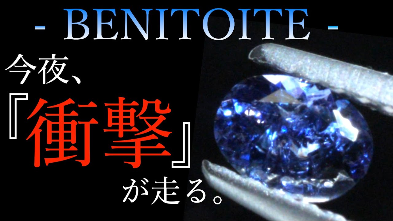 ‼️ベニトアイト特集やります‼️
