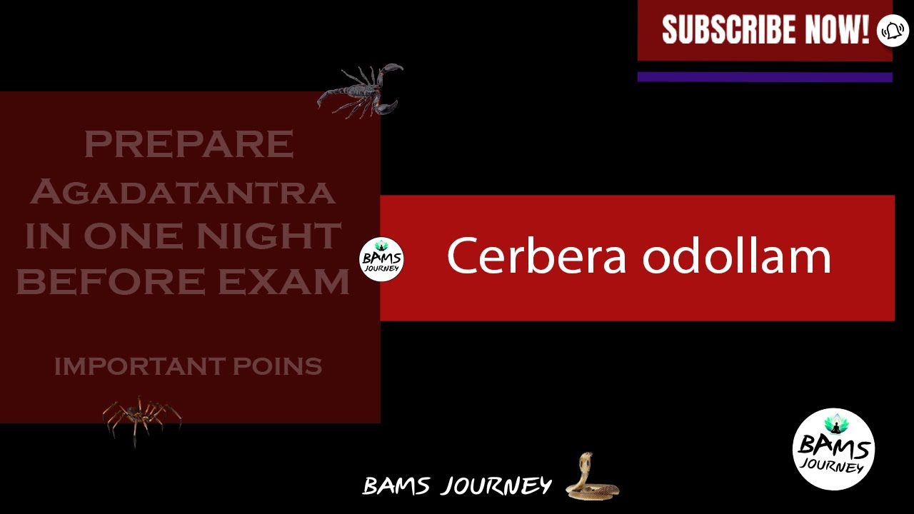 Cerbera odollam || FORENSIC SCIENCE || AGADATANTRA || IMPORTANT POINS || BAMS JOURNEY