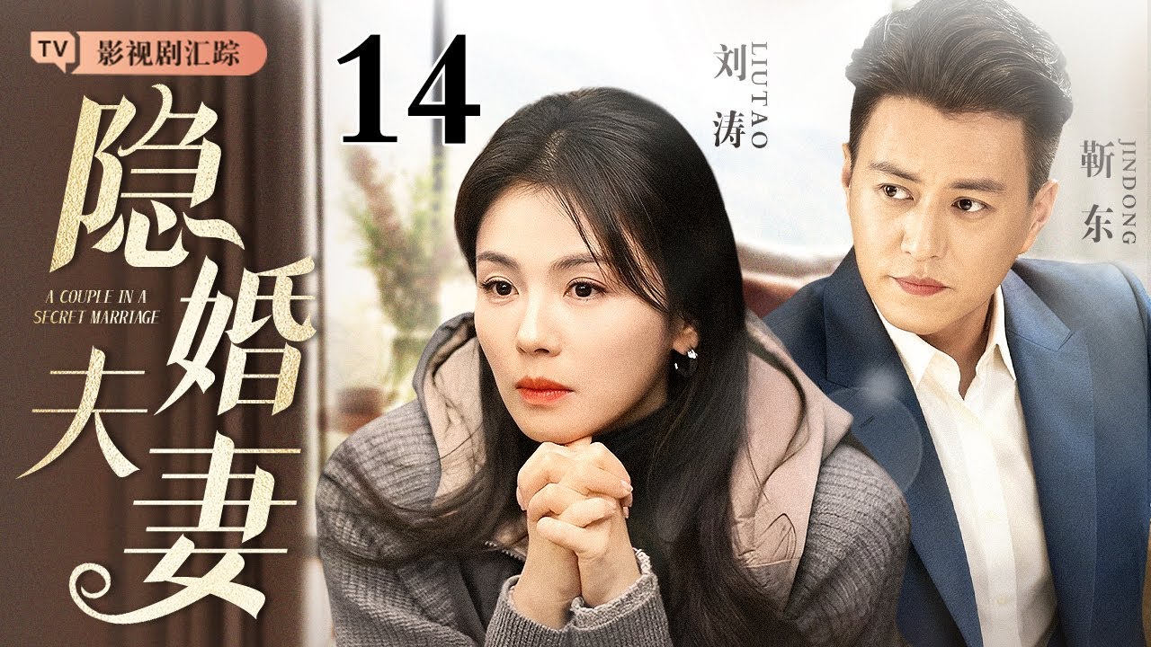 【2025最新都市剧】隐婚夫妻 14｜#靳东 家道中落隐婚拼事业，北漂女#刘涛 藏起委屈暖心相伴，两人携手突破困境，爱情事业双丰收！（#靳东 /#刘涛 )