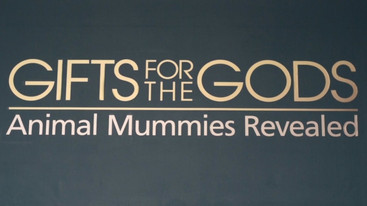 Secrets of the Animal Mummies