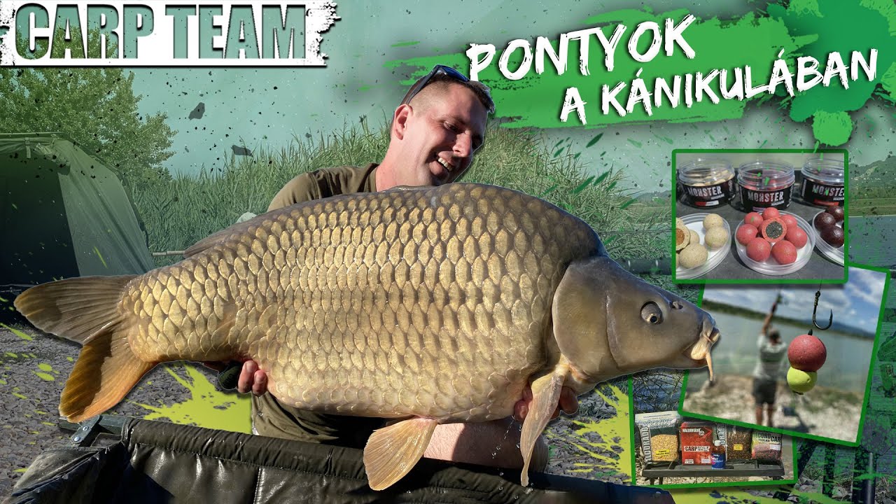 Hask&oacute; Tam&aacute;s - Kalandok az orsz&aacute;ghat&aacute;ron t&uacute;l 3. r&eacute;sz - Pontyok a k&aacute;nikul&aacute;ban