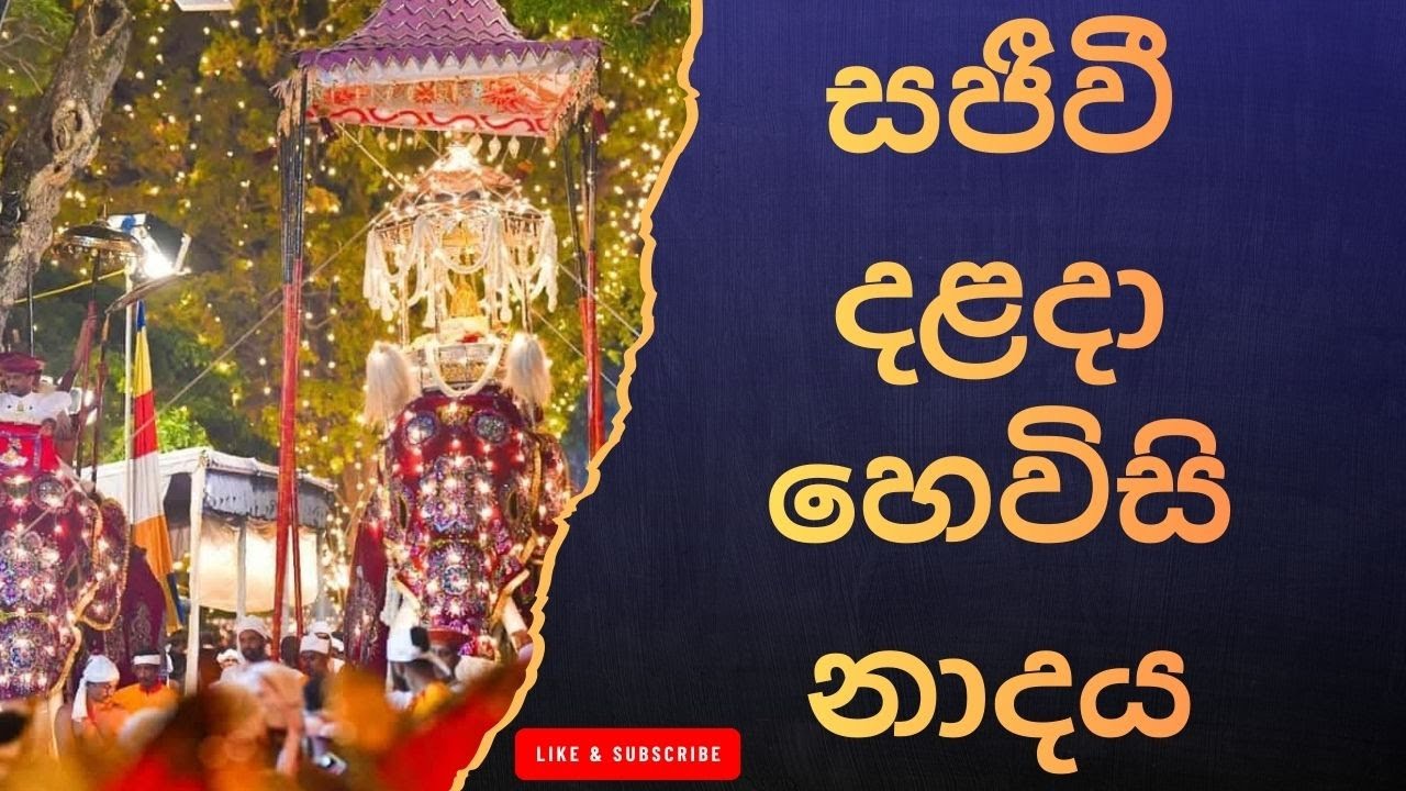 දළදා මාලිගාවේ සවස් තේවා හේවිසි – හදවත පිරිසිදු කරන නාදය 🎵 SIRI DALADA THEWA HEVISI NADAYA