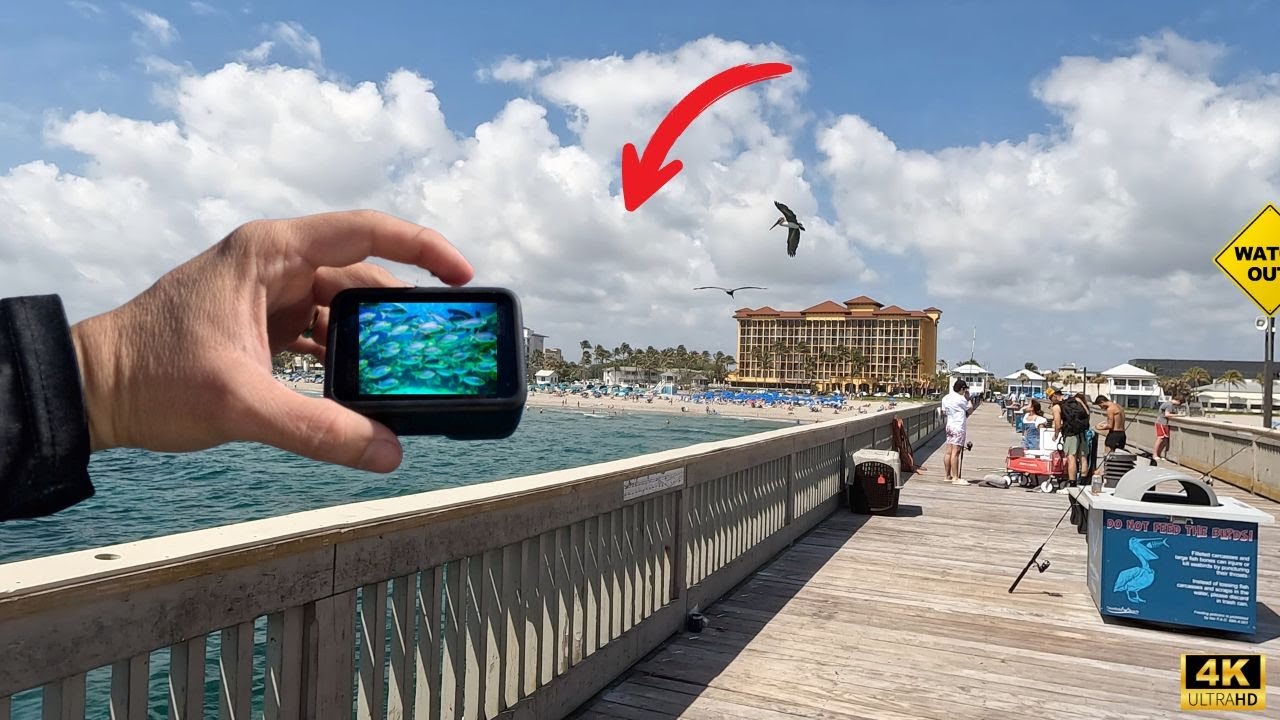 Dropped a GoPro under the Famous Deerfield Beach Fishing Pier