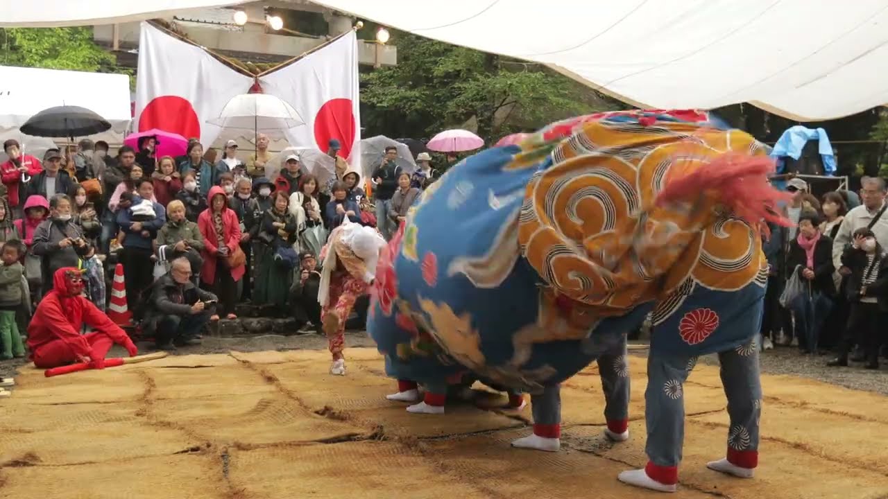 333.どぶろく祭り1015 5きんご 引き画_Shirakawa-go movie images - Autumn | Shirakawa village, Japan