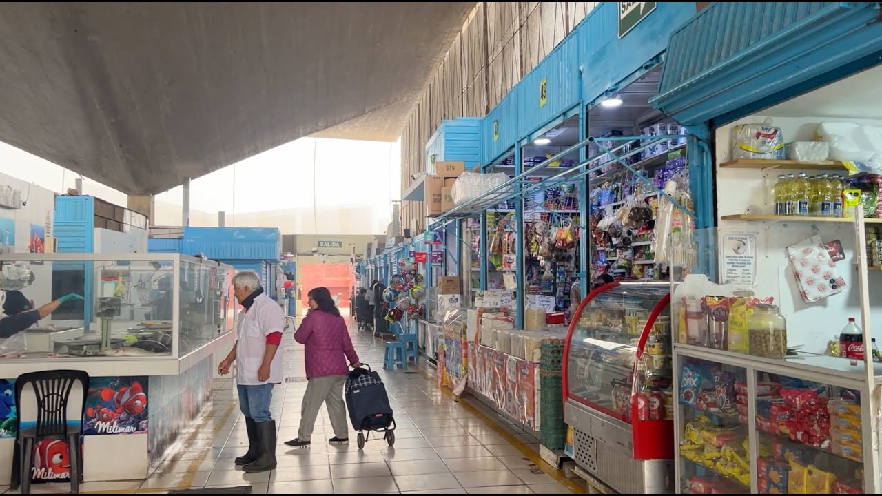 Proyectos de vivienda colectiva. Integración y estado actual del comercio