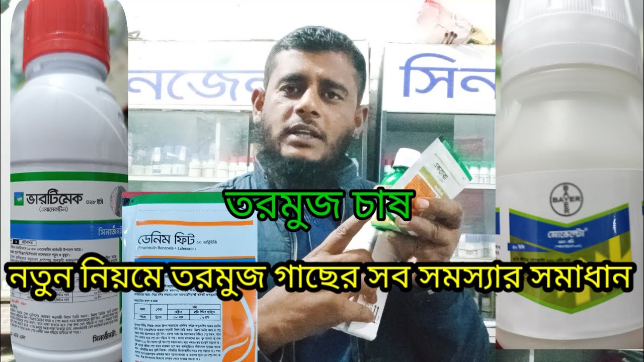 নতুন নিয়মে তরমুজ চাষ। সব সমস্যার সমাধান সিনজানটা কৃষি টিভি