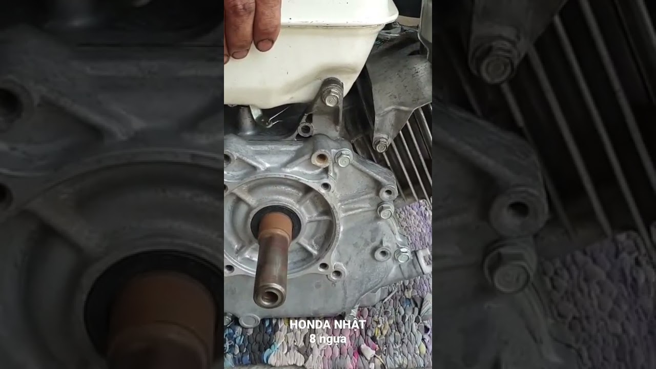 Honda GX240 (8hp) LH: 0907052116