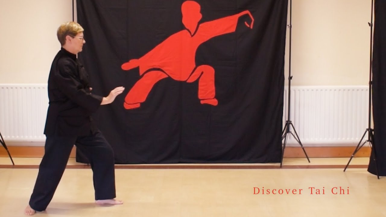 Yang Style Short Form, with commentary (HD)
