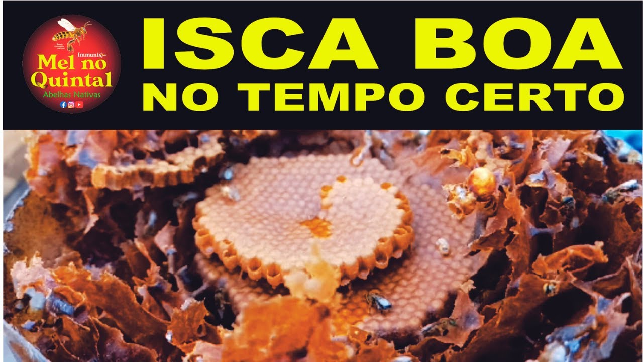 QUAL O TAMANHO IDEAL DA ISCA?